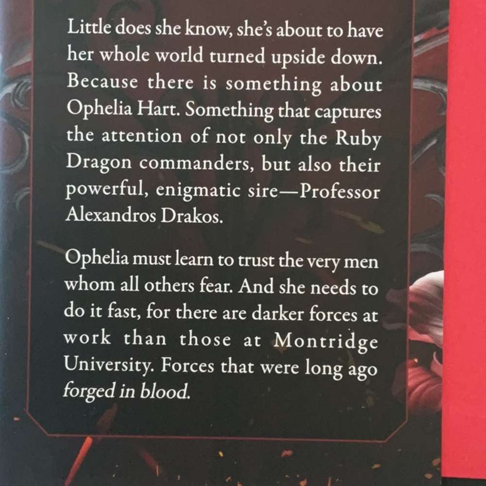 Sadie Kincaid Hardcovers - Picture 9 of 14